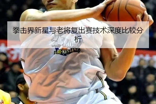拳击界新星与老将复出赛技术深度比较分析